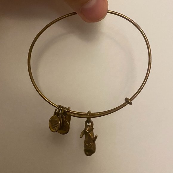 Alex and Ani "Side by Side" Otter Bracelet | Gold - Picture 7 of 7